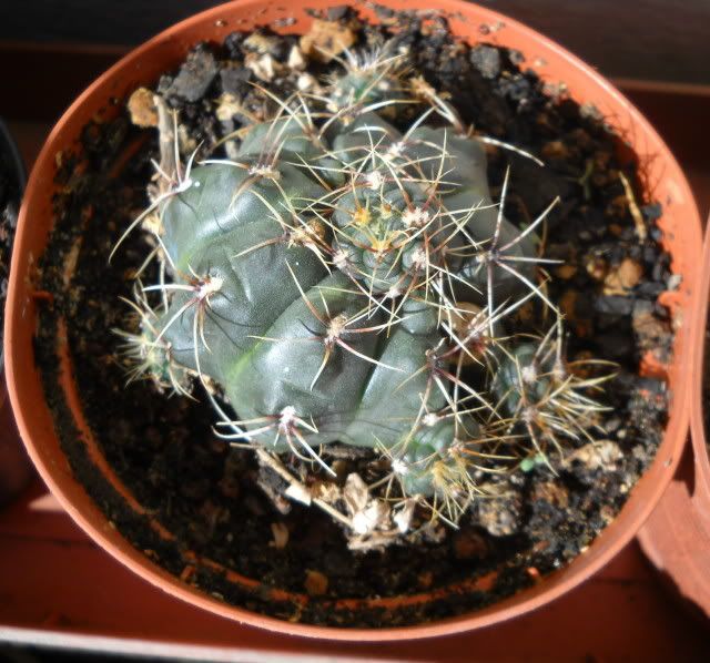 DSCN1513.jpg